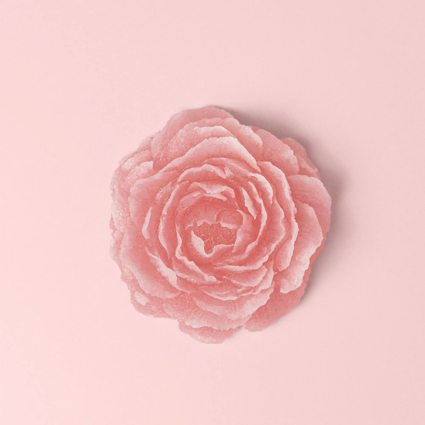 Gourmet rosa di Cristallo Commestibile condividere